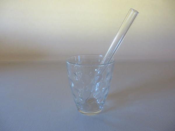 Smoothie Trinkhalme 10er Pack